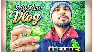 My🌾Garden In New Vlog | New Blog Home Garden 🌴