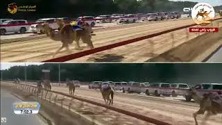 ش2 (سيف الحول الانتاج ) سلطانه لـ سالم سعيد بن منانه الكتبي 12:05:1( مهرجان سمو ولي عهد دبي 2026 )