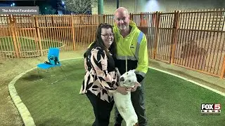 'Hugging' shelter dog finds forever home after FOX5 report