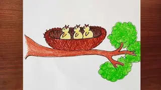 How to draw and color Bird's nest for Kids & Beginners | Step by step | Easy drawing of Bird's nest