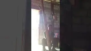 ntiv qeej by npuag xylem lis nylb LPB
