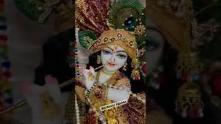 Shri bake bihari Teri aarti gayu ❤️🙏🏻#bakebihari #aarti