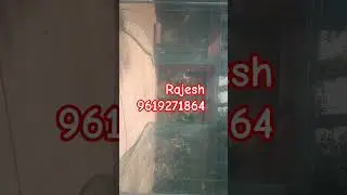 rajesh online fishing net cast net  kandal green kapda Cricket ka net safety net9619271864