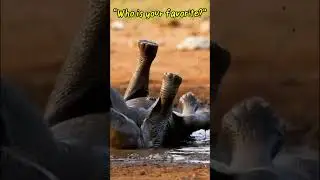 What is this little guy doing?