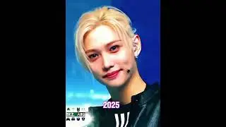 SKZ 2025 THE ERA FIN📙... #straykids #스트레이키즈 #kpop #trend #edit #shorts
