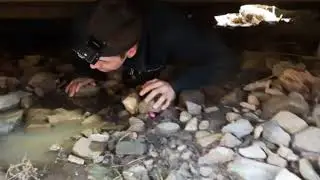 Nexus cave land bridge crawl (Hamilton, Ontario)