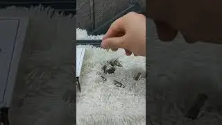 انواع عتاد المسدس 9 ملم الدمدم والعادي 9 mm