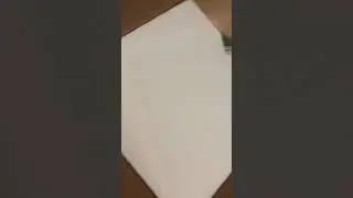 boxing reptiles