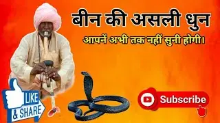 बीन की असली धुन ,हवासिंह नाथ जी ददरेवा #viralvideo #rajasthaniclture #subscribe #song #been 
