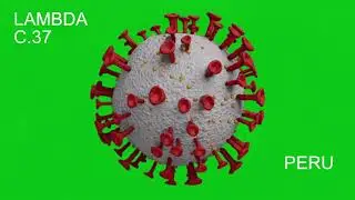 CORONAVIRUS VARIANTS (ORIGIN & DISCOVERY) : ALPHA, BETA, DELTA, ETA, GAMMA, IOTA, KAPPA & LAMBDA