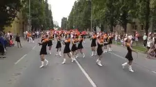 Virágkarnevál 2014 - Tico, felnőtt