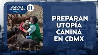 &iexcl;Por el bien de los perritos! alistan Utop&iacute;a Canina en CDMX | Noticias Heraldo