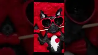 Meme ||красный цвет ||•