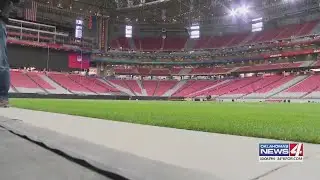 OSU turf to be played on OSU-developed grass