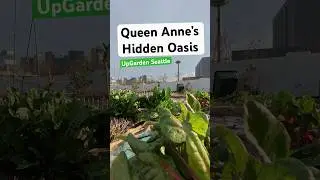 Queen Anne's Hidden Oasis, UpGarden Seattle