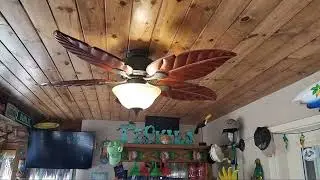 Honeywell Ceiling Fans 50204-01 Royal Palm Ceiling Fan, 52