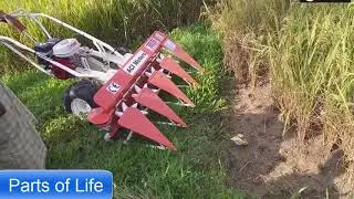 5 best rice harvesting machine.Amazing Rice Harvester in Japan.Rice Cutter Machine at Bangladesh