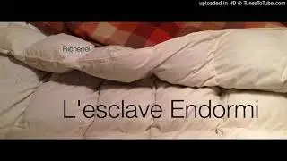 Richenel - L'esclave Endormi (John Fryer & Ivo Watts-Russel Remix)