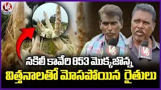 Khammam Farmers Duped by Fake Kaveri 853 Corn Seeds | V6 News