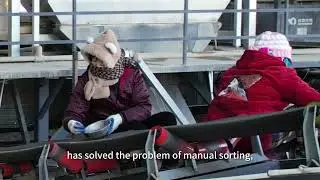 The Secret to High-Value Sorting of Silica Stone
