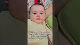 O est&ocirc;mago &eacute; de passarinho, mas a vontade &eacute; de um le&atilde;o: gofou tr&ecirc;s vezes e j&aacute; t&aacute; querendo mamar