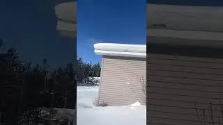 -22f #windchill -5F actual temp🎶 da Ruckus🐕 in Northern Lower Michigan  is live!