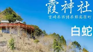 宮崎県霞神社⛩️に行ってみた！#神様#スピリチャル#神社#開運#龍神#パワースポット #白蛇