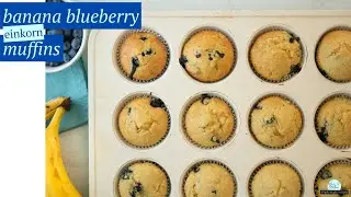 These FLUFFY Einkorn Muffins are PACKED with Blueberries and Bananas! 🫐🍌