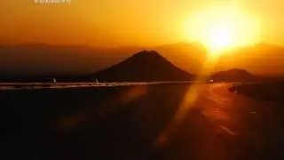 Dream Bear - Sunset Eyes
