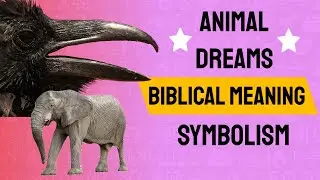 Biblical Dream Interpretation Animals - Would you like the meaning of your dream