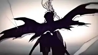 ANIME/GAMES/COMICS/MANGA,captain fire 🔥 and snow shinigami ❄ new intro
