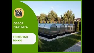 Парник Тюльпан Мини