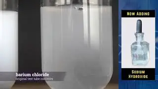 Reactions with Sodium Iodide and Barium Chloride