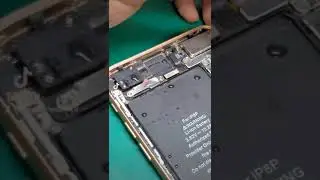#Какпочинитьповрежденныйводой iPhone #Шорты