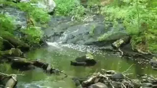 Wolfe Park