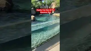 Family Fun Day at the Houston Zoo