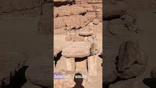 What animals live in this high altitude?? #explore #nature #travel #adventure #youtubeshorts