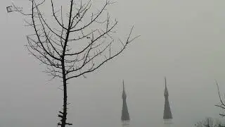 Розаже 21.12.25 Кто сказал, что у нас нет тумана?