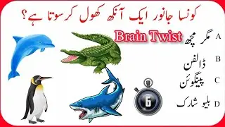urdu general knowledge point | world journal knowledge | Urdu quizzes | brain twists | questions 