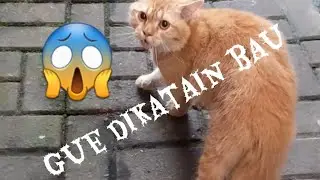 PART 4 || Bisa Bisanya ngomel ngatain 
