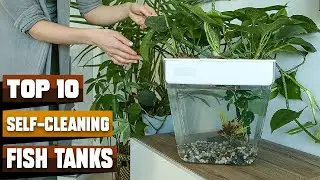 Incredible Self Cleaning Fish Tanks on Amazon (Top 10 Picks)