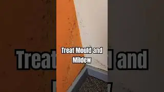 How To Treat Mould & Mildew (DIY)