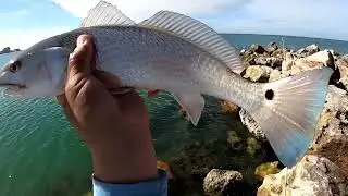 Fishing the Jetty at Clearwater Beach (Pass) 12/17/25