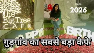 The Bigg Tree Cafe🌲 Il Best Place for Birthday.. Gurgaon Sector-53 #RahulRealTalk#viral #viralvideo 