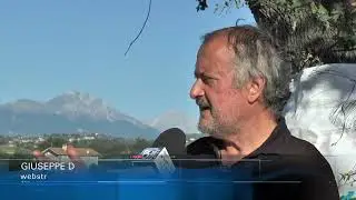 Moscufo. Continua la lotta per salvare la quercia