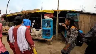 Never seen before 😱😱🔥#sonepurmela#vlog#bihar#tour#viral #trending