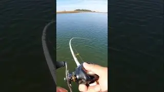 The only bite I got and it snapped off. #simonsaysher #bassfishing #hmong #fypfishing #fishingfail
