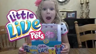 Little Live Pets Lil' Mouse Set