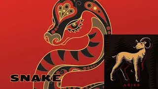 ARIES - SNAKE