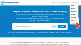Big News! Telegram Downloader is now multilingual! 🔥